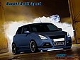 suzuki2.jpg