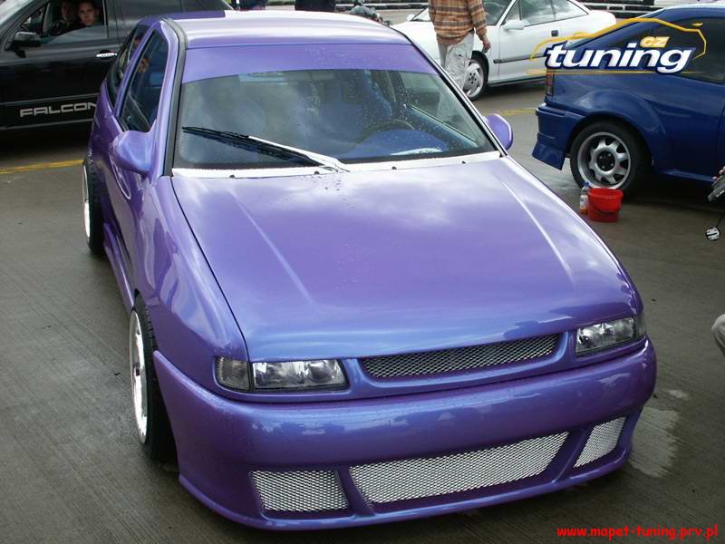 seat_ibiza.jpg