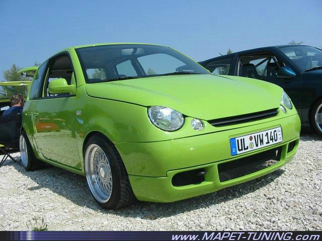 lupo_6.jpg