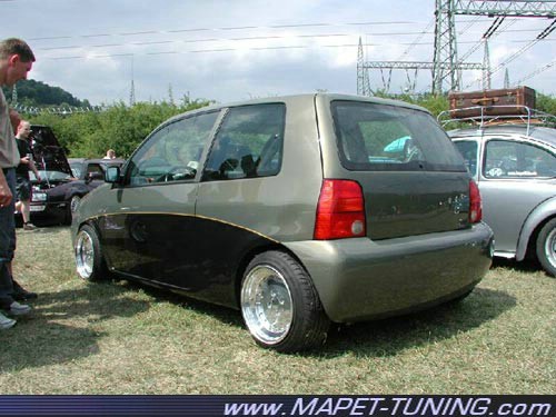 lupo_8.jpg