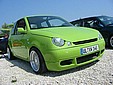 lupo_6.jpg