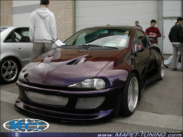 tigra_11.jpg