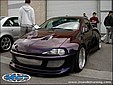 tigra_11.jpg