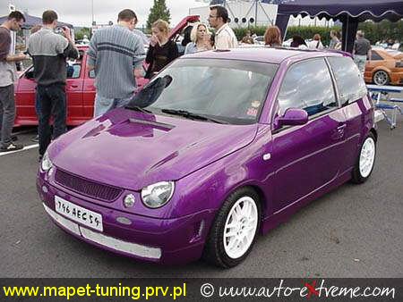 lupo.jpg