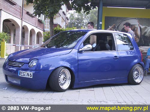 lupo_4.jpg