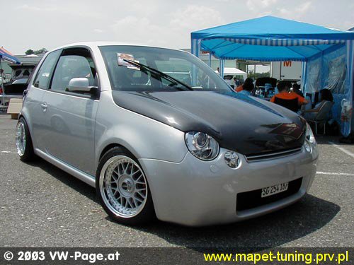 lupo_5.jpg