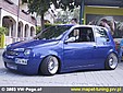 lupo_4.jpg