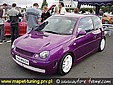 lupo.jpg