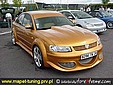 passat_2.jpg