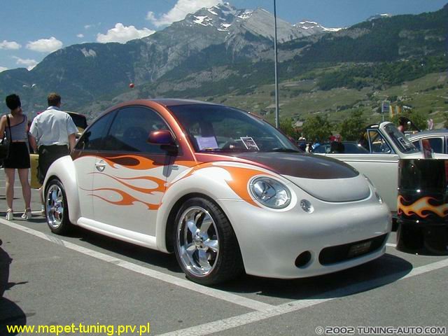 beetle_2.jpg