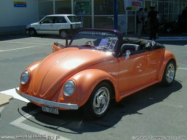 garbus_10.jpg