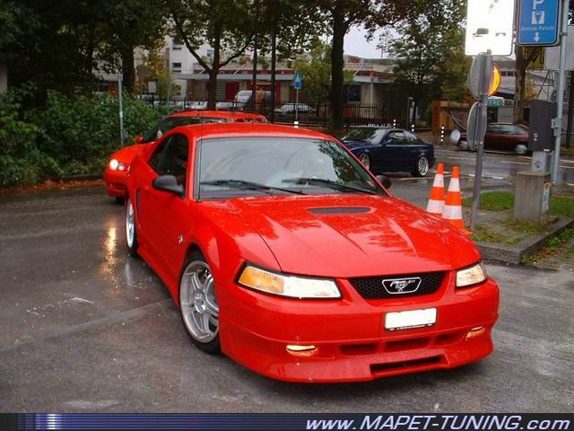 mustang.jpg