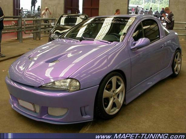 tigra_9.jpg