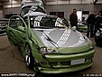 tigra_8.jpg