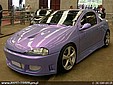 tigra_9.jpg
