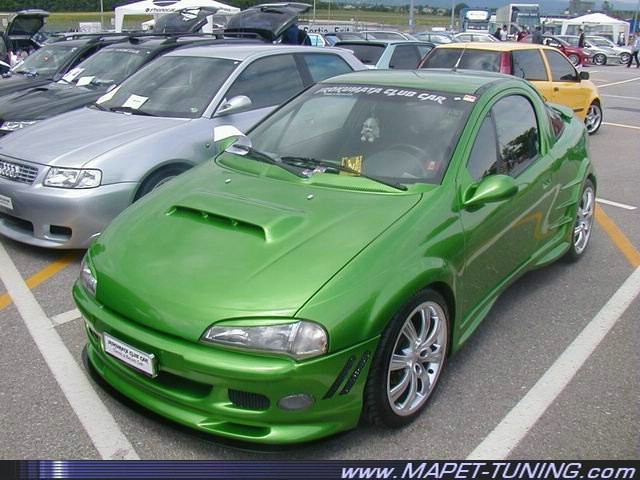 tigra_10.jpg