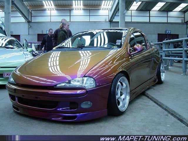 tigra_7.jpg