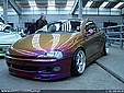 tigra_7.jpg