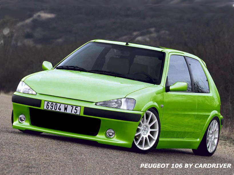 peugeot_106bycardriver5.jpg