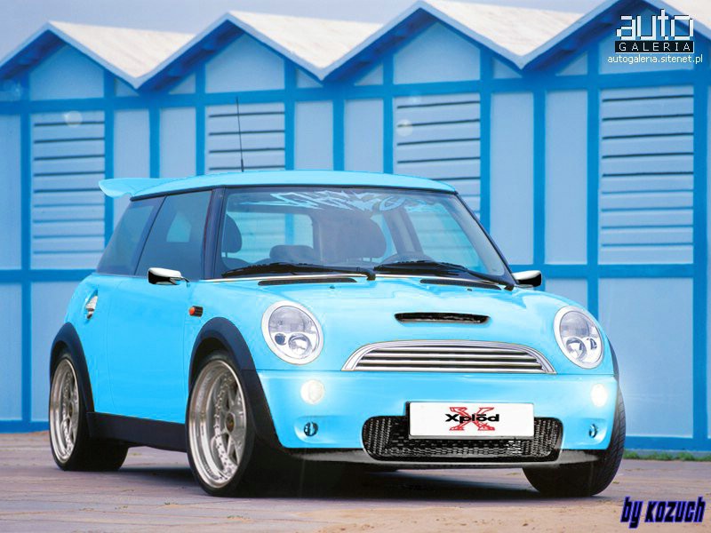 mini2.jpg
