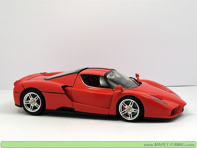 enzo_2.jpg