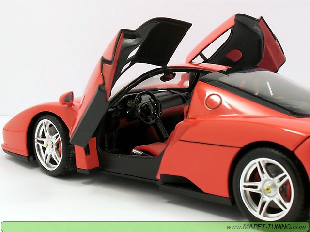 enzo_5.jpg