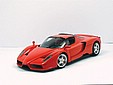 enzo_1.jpg