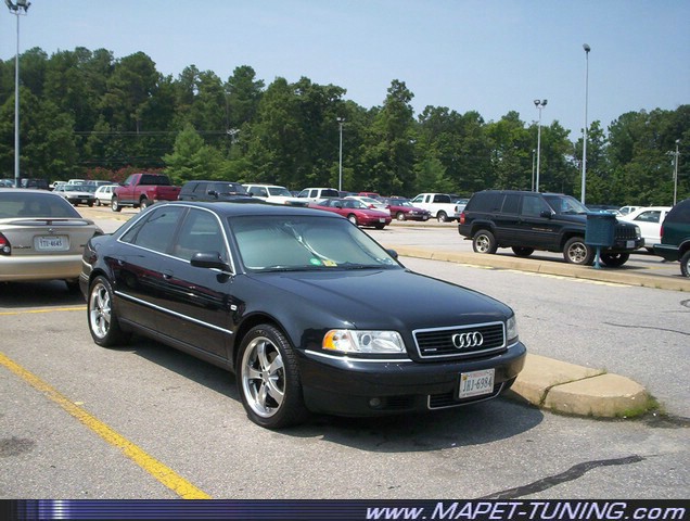 100_5595.JPG
