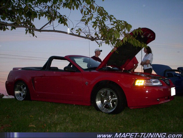 100_6553.JPG