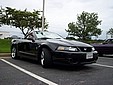 100_6389.JPG