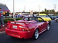 100_6541.JPG