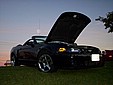 100_6554.JPG
