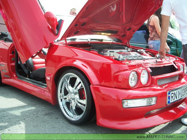 100_1996_resize.JPG
