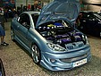 DSC02446.JPG