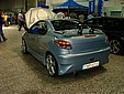 DSC02447.JPG