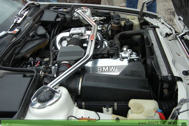 DSC_0203_resize.JPG
