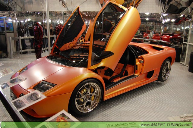 DSC_0205_resize.JPG