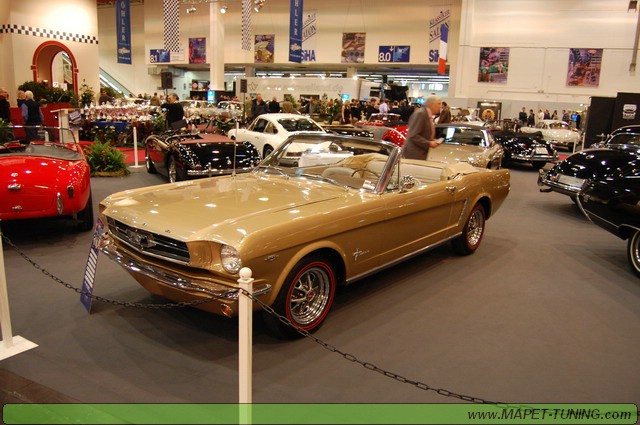 DSC_0309_resize.JPG
