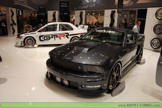 DSC_0495_resize.JPG