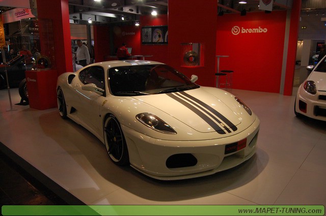 DSC_0556_resize.JPG