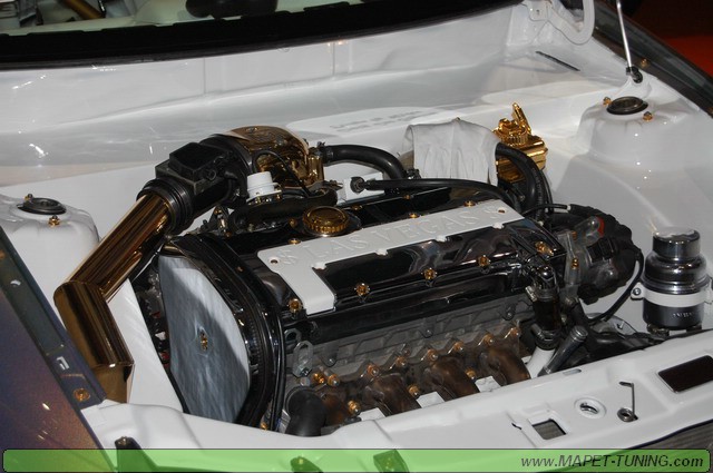 DSC_0696_resize.JPG