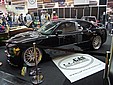 DSC_0742_resize.JPG