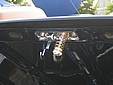 IMG_0781.jpg