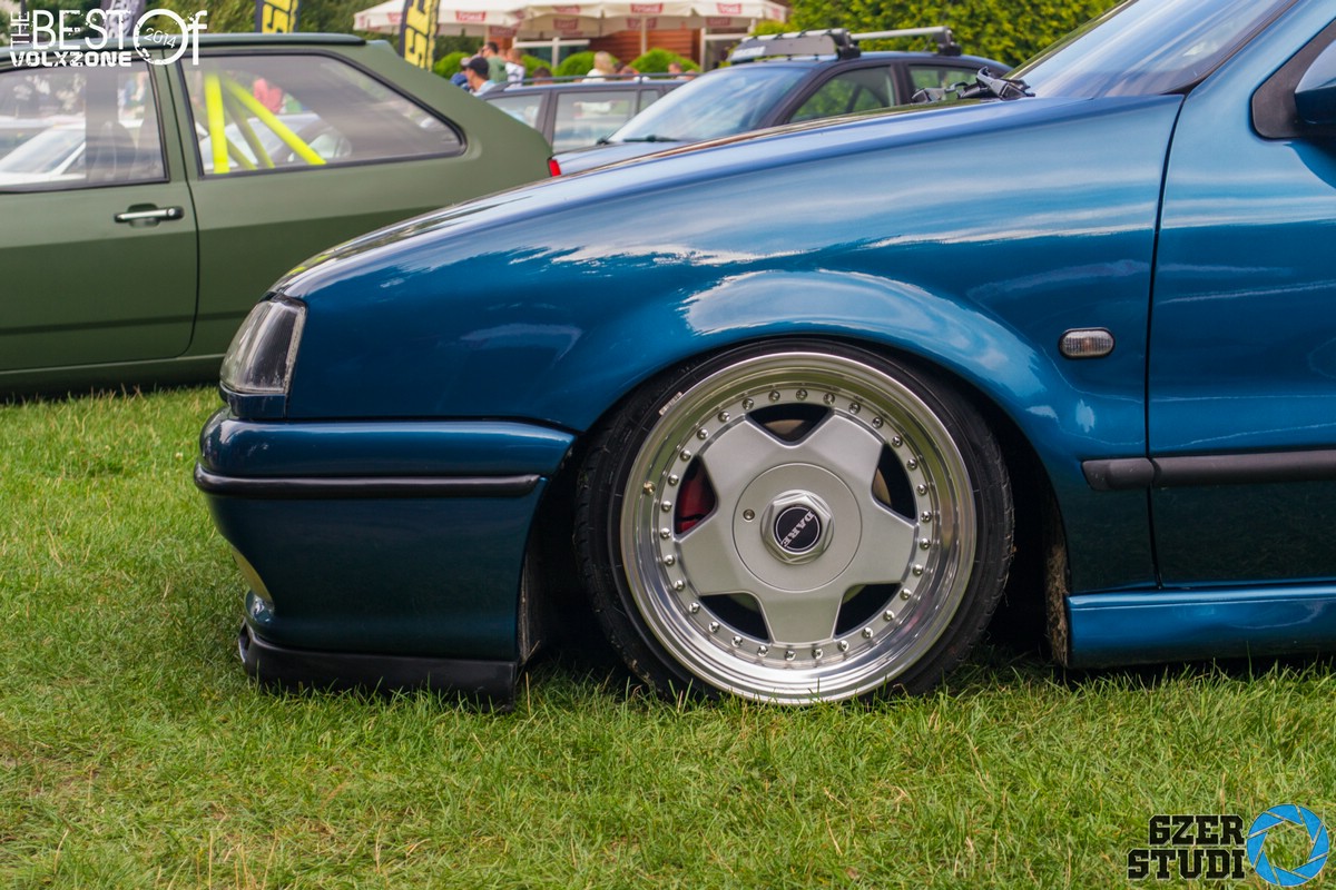 DSC_0262.jpg