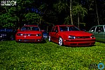 DSC_0435.jpg