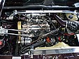 Kopia P6100047.JPG