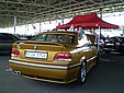 Kopia P6100077.JPG