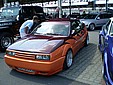 Kopia P6100103.JPG
