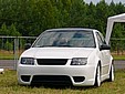 vag treffen 2008 016.jpg