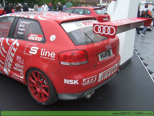 apsik_098.jpg